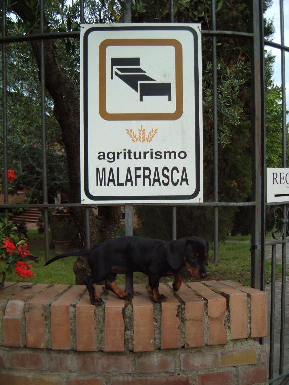 Вилла Agriturismo Malafrasca Сиена Экстерьер фото